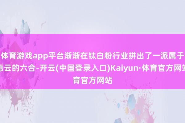 体育游戏app平台渐渐在钛白粉行业拼出了一派属于惠云的六合-开云(中国登录入口)Kaiyun·体育官方网站